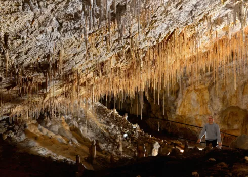 Les Grottes de Thouzon