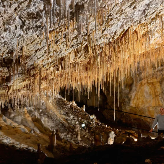 Cueva de thouzon