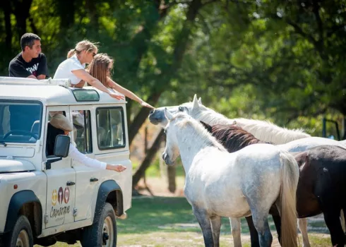 Camargue Autrement