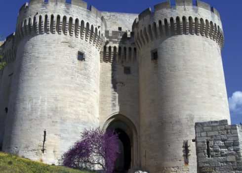 Le Fort Saint-André