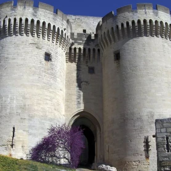 Fuerte Saint André