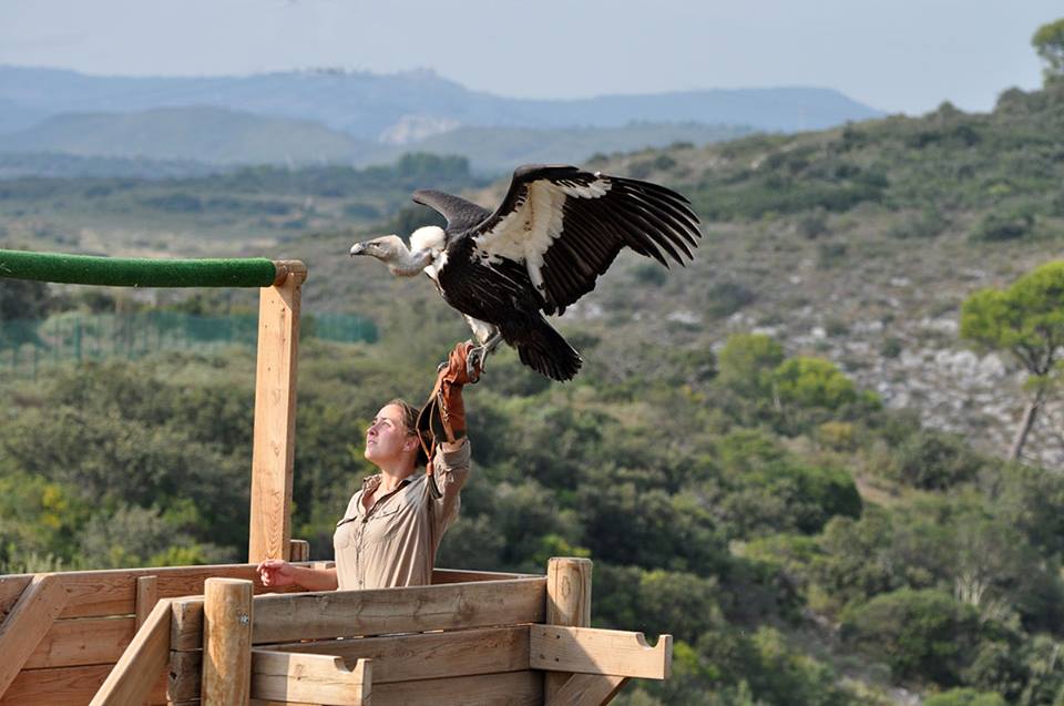 Le Zoo de la Barben Parc animalier au coeur de la Provence
