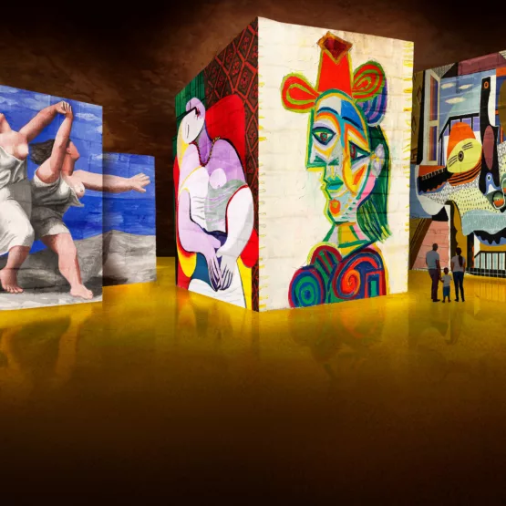 Carrières des Lumières
