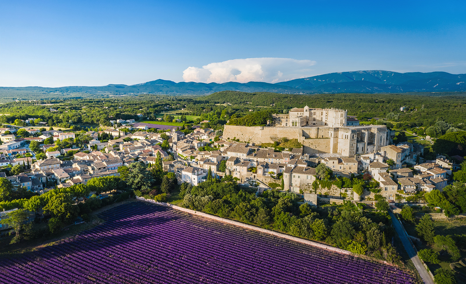 CHÂTEAU DE GRIGNAN - Bienvenue en Provence