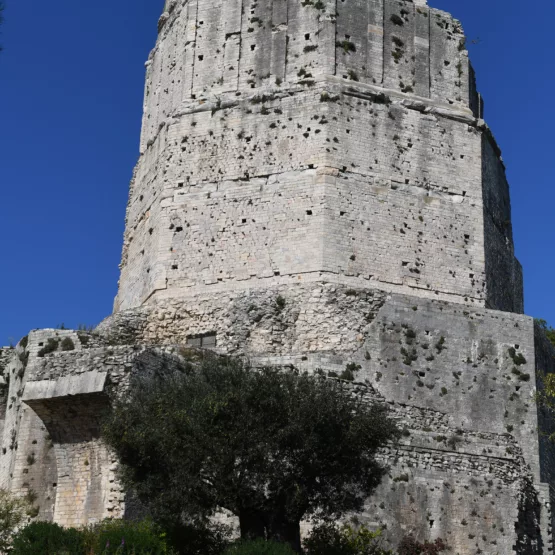 Tour Magne