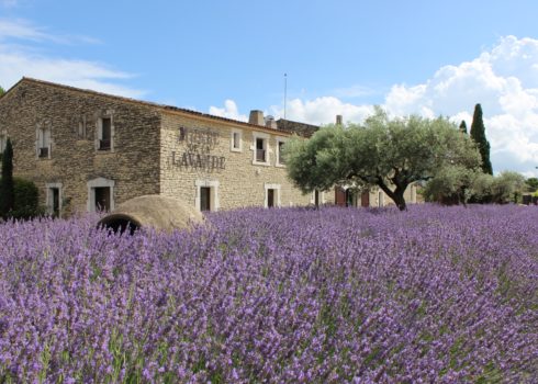 Musée de la Lavande Luberon