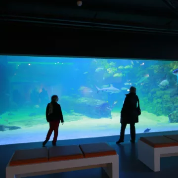 Seaquarium Institut marin