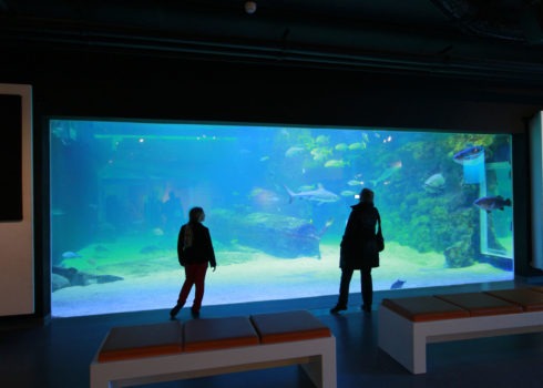 Seaquarium Institut marin
