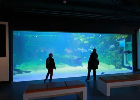 Seaquarium Institut marin