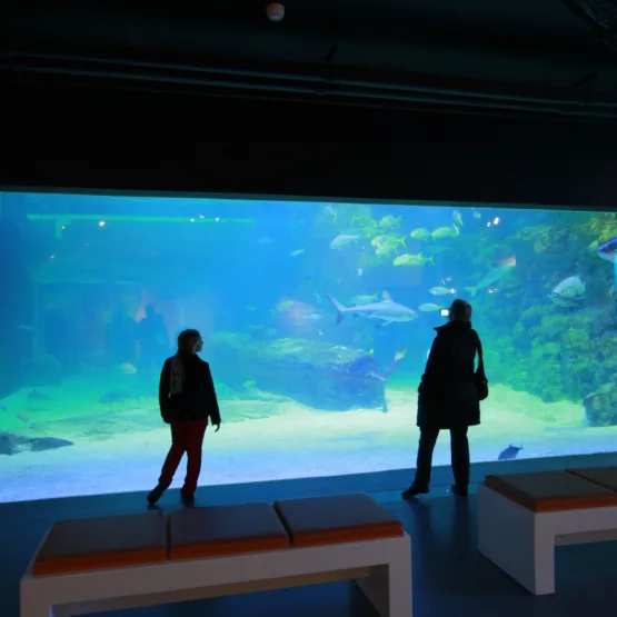 Seaquarium Institut marin