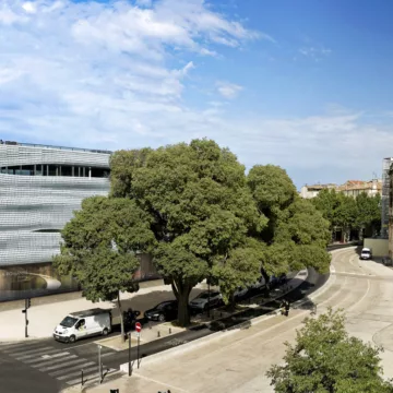 Musée de la Romanité