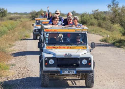 Camargue Alpilles Safaris