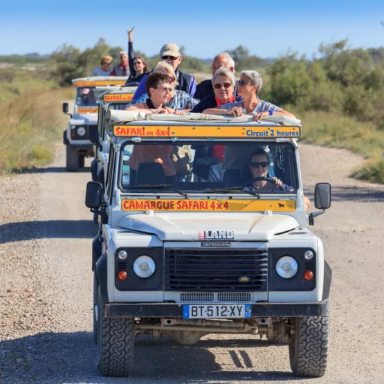 Camargue Alpilles Safaris