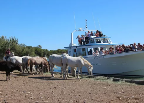 Bateau : Le Camargue