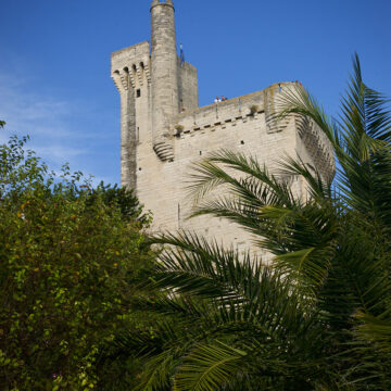 Tour Philippe-le-Bel avec palmier