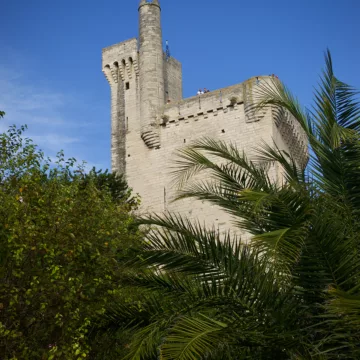 Tour Philippe-le-Bel avec palmier