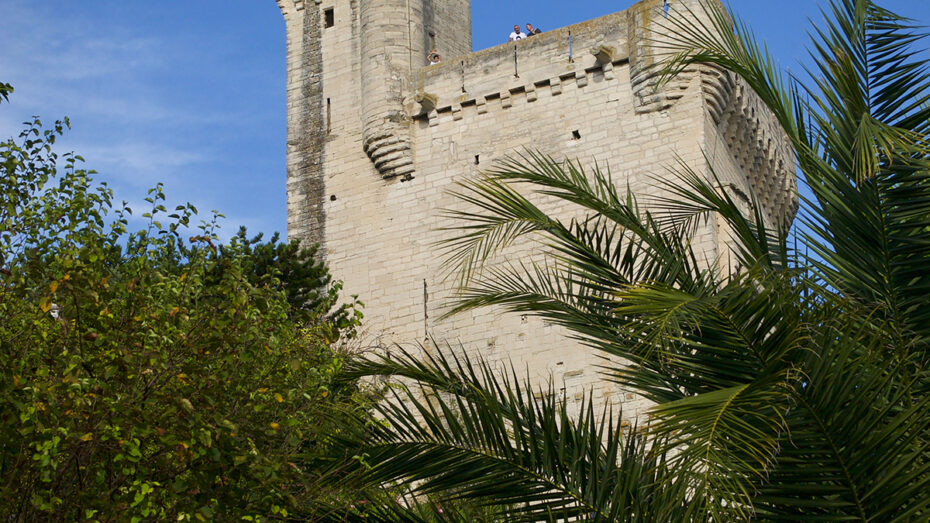 Tour Philippe-le-Bel avec palmier