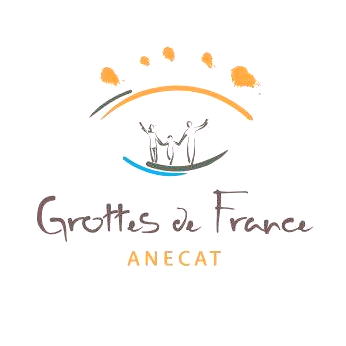 ANECAT