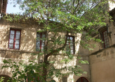 Le Musée Réattu, musée des Beaux Arts
