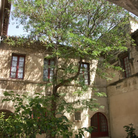 Le Musée Réattu, musée des Beaux Arts