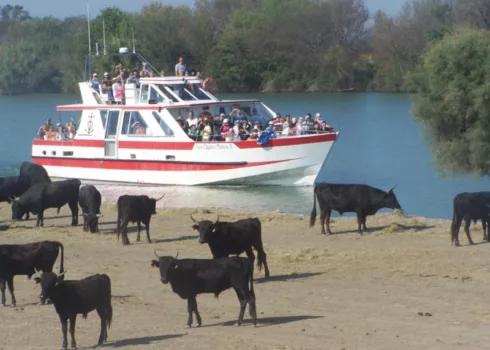 BATEAU LES QUATRE MARIES