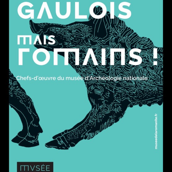 Gaulois, mais Romains