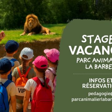 stage ete zoo barben