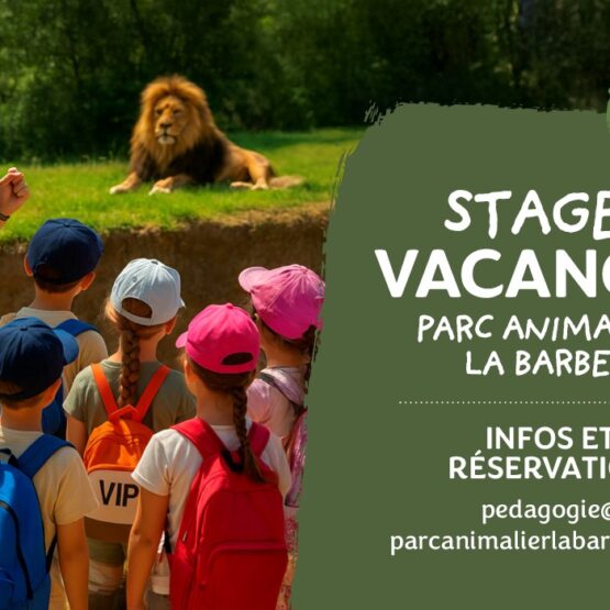 stage ete zoo barben