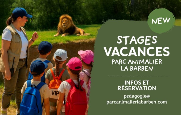 stage ete zoo barben