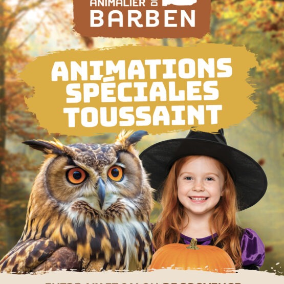 Halloween Parc animalier La Barben 2025 – décors, animations et escape game pour les vacances de la Toussaint en famille