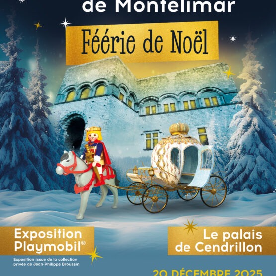 Feerie de noel chateau de Montelimar 2025