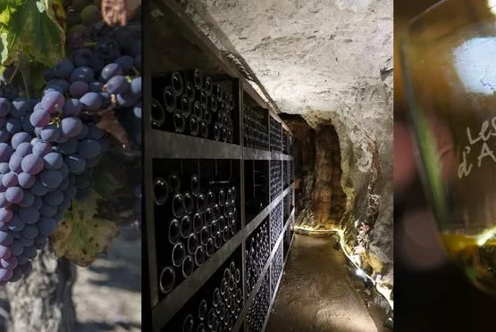 Atelier assemblage Côtes du Vivarais à l'Aven d'Orgnac, 50 m sous terre !
