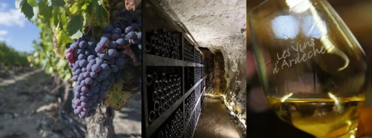 Atelier assemblage Côtes du Vivarais à l'Aven d'Orgnac, 50 m sous terre !