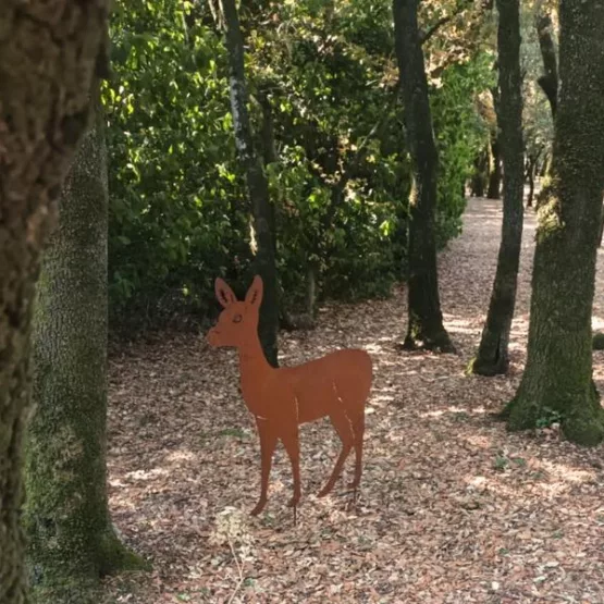 A la recherche des animaux de la garenne