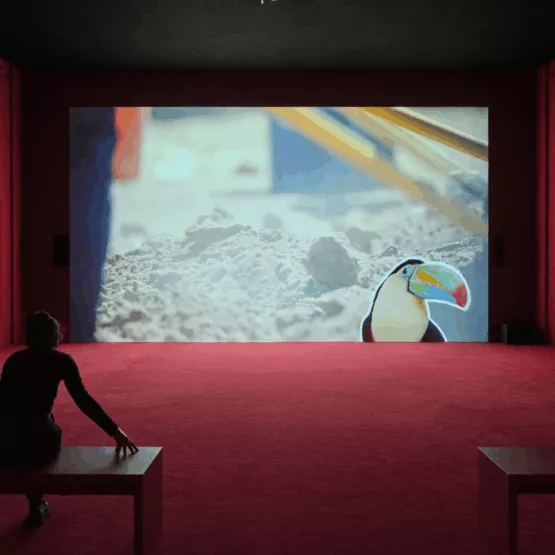 Exposition « In the Veins » de Camille Henrot à LUMA Arles