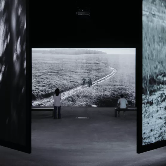 CORRESPONDENCES : Soundwalk Collective & Patti Smith à LUMA Arles