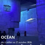 Carrières des Lumières: Océan, immersion dans le monde sous-marin