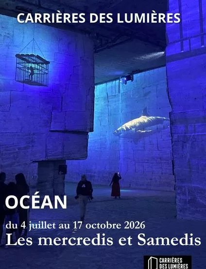 Carrières-des-Lumières : Océan, immersion dans le monde sous-marin