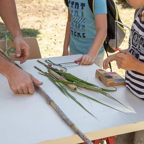 Atelier créatif : observation des petites bêtes étranges des jardins