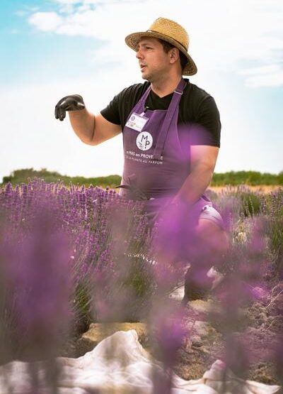 Visites guidées d'une distillerie artisanale en Provence