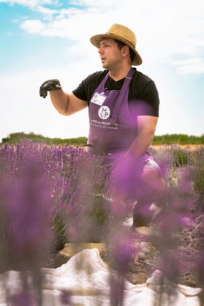 Visites guidées d'une distillerie artisanale en Provence