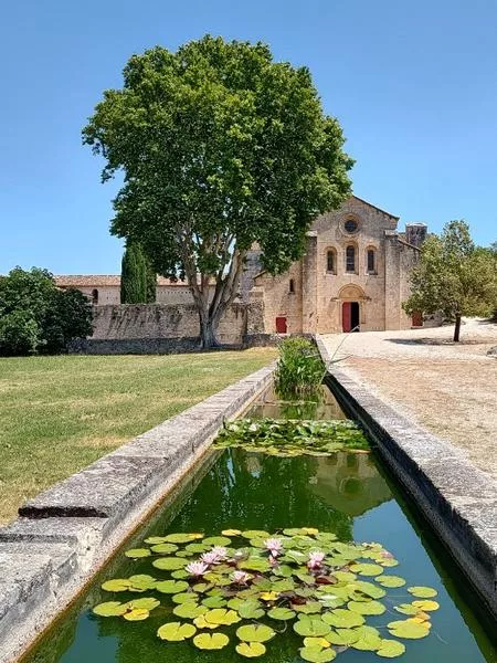 Visite guidée de l’Abbaye de Silvacane