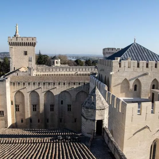 A la découverte du Palais des Papes - visite guidée en anglais