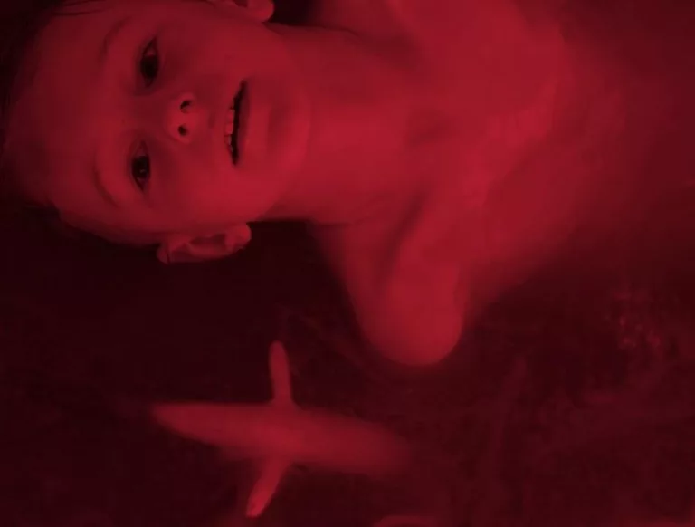 LUMA Arles / In the Veins