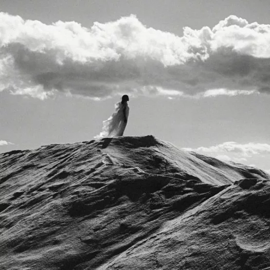 LUMA Arles / In Search of… Incredible