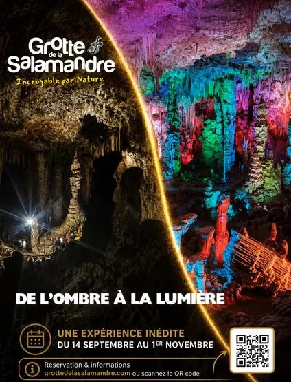 De l'Ombre à la Lumière