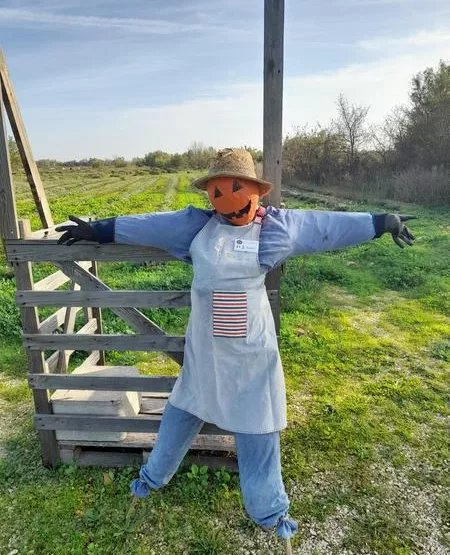Halloween au Mas en Provence